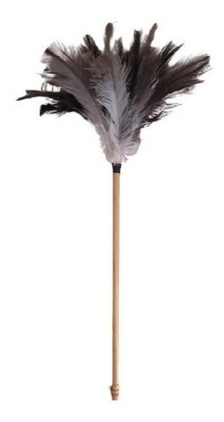 Plumero Plumas Ñandu Natural Mediano N°22 0