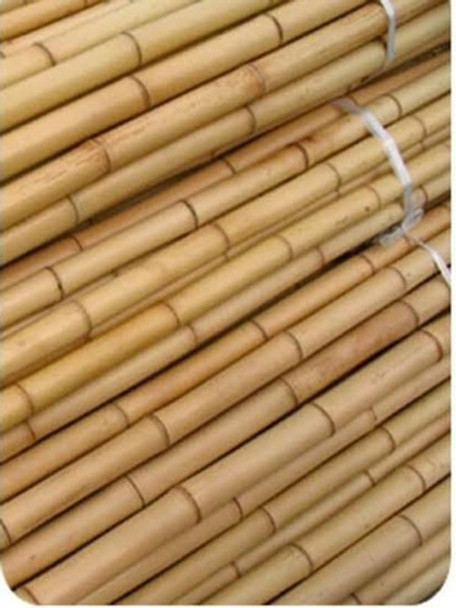 Tutor De Bambu Natural Estaca Plantas 60 Peças Com 75 Cm 0