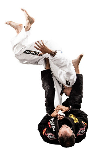 Rousimar Palhares Tecnicas Chaves De Pé 0