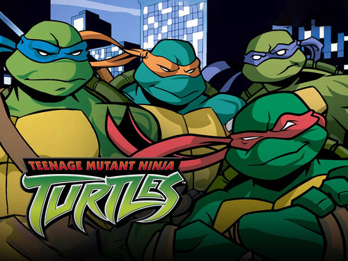 Las Tortugas Ninja Serie Animada Tmnt 2003 0
