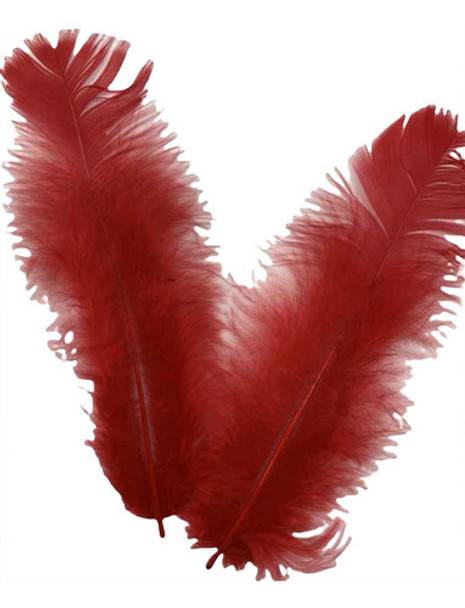 Plumas Bolsa X 50 Unidades. Entre 10-13 Cm. Varios Colores 0
