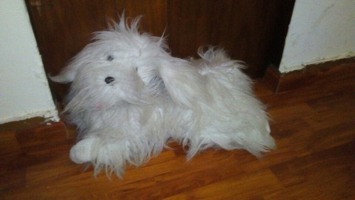 Perro De Peluche 0