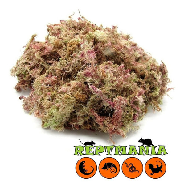 Musgo Sphagnum P/ Toca Úmida Gecko Pogona Postura Reptmania 0