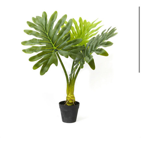 Planta Artificial Hoja De Philo 60 Cms 0