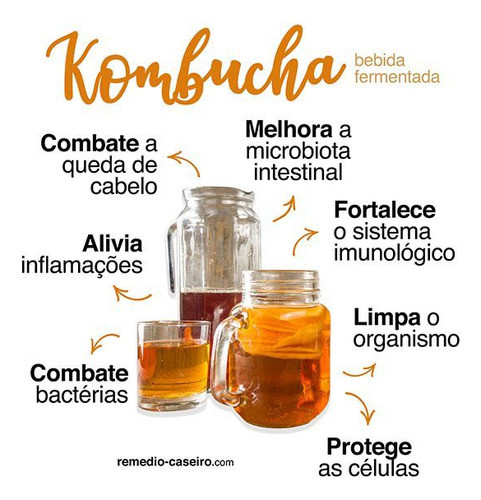 Kombucha  E Manual De Instrução 0