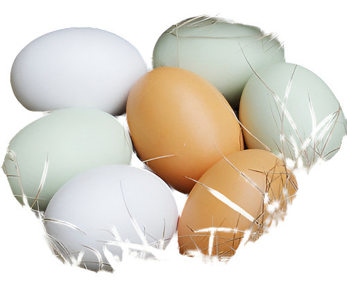 Huevos De Pascua De 3pcs Madera Pintados Bricolaje Decorativ 0