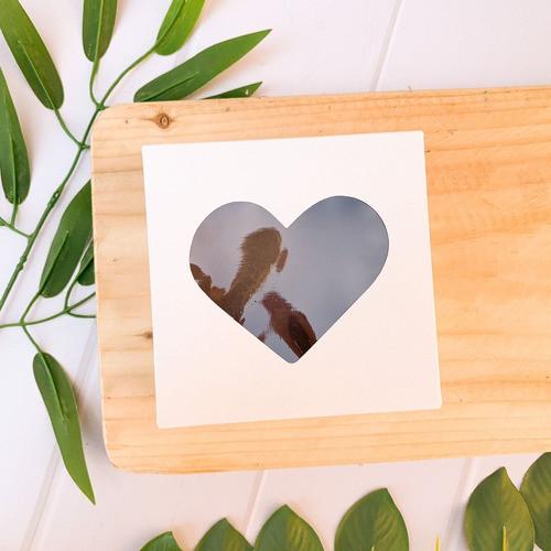 Caja Multiuso Blanca C/visor Corazon X 5 Unid (12x12x5) 0