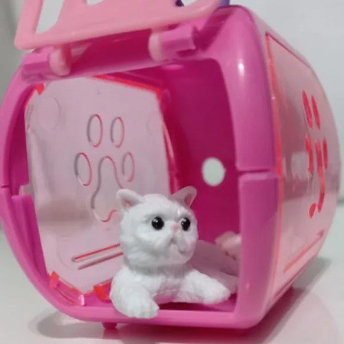 Gatitos De Colección Caty House Coleccionables 0