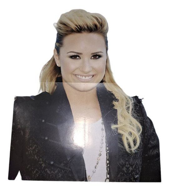 Poster Demi Lovato Campera 50 X 38 0