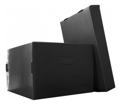 Caja Archivadora Plástico Corrugado 0