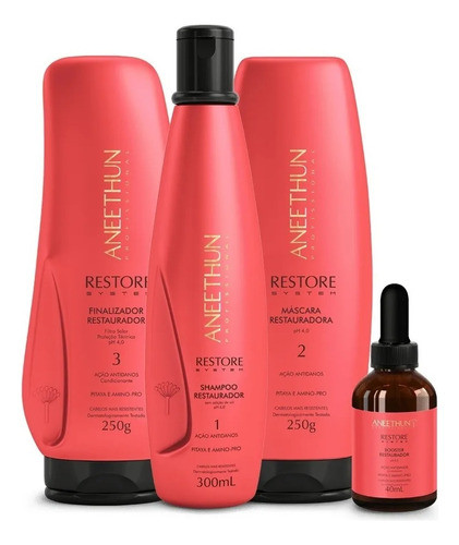 Restauração Capilar Aneethun Restore System (4 Itens) 0