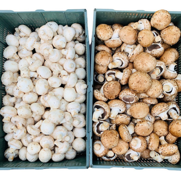 Hongos Portobellos Y Champiñones De Primera Calidad 1kg Caba 0