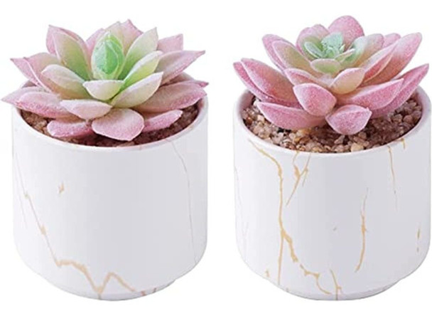 Zenmag Fake Succulents, Mini Succulents Plants Artificial In 0