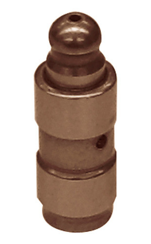 Botador Hidraulico Vw Glfiv-fox-sur  - I769 0