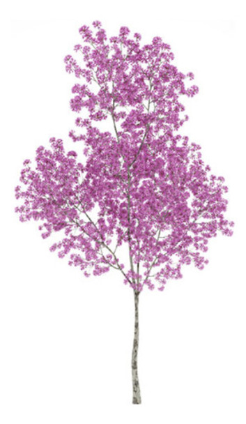 Lapacho Rosado 2,2mt 10lt E.gratis Caba Y Gba Huella Jardin 0