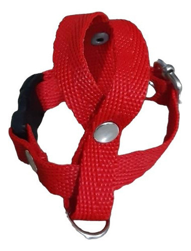 Arnés Pretal + Correa 4 Metros Aves - Cotorra Argentina 0