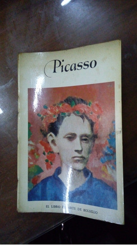 Libro Picasso 0
