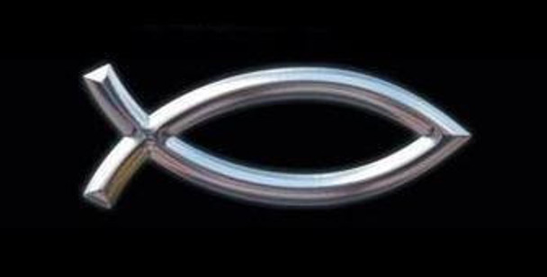 Neon Surtido Chico Promo Hot Sale Mundo Acuatico 0