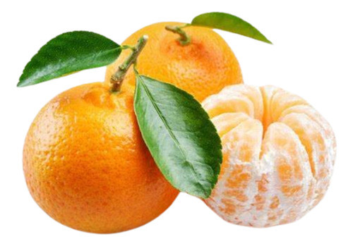 300 Unidades De Limão Tangerina 0