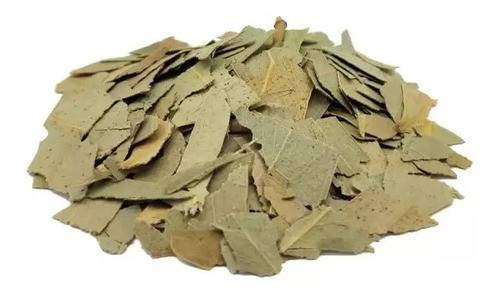 Eucalipto Menta X 1 Kgrs   Hn 0