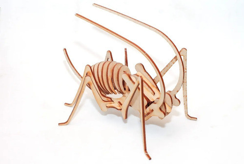 Maqueta Encastrable Grillo 24 Cm Madera Motricidad Didáctico 0