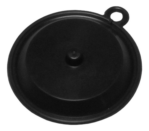 Diafragma Para Camara De Agua Calefon Orbis Original 00116 C 0