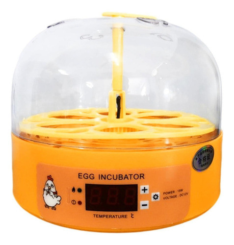 Incubadora De Ovos Para Crianças Controlador De Temperatura 0