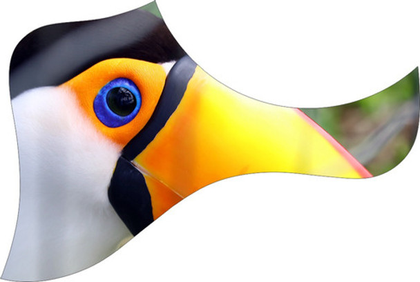 Escudo Palheteira Resinada Violão Aço Estilo Taylor Tucano 0 Escudo Palheteira Resinada Violão Aço Estilo Taylor Tucano 0