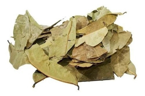Graviola Hojas Secas - 50g 0