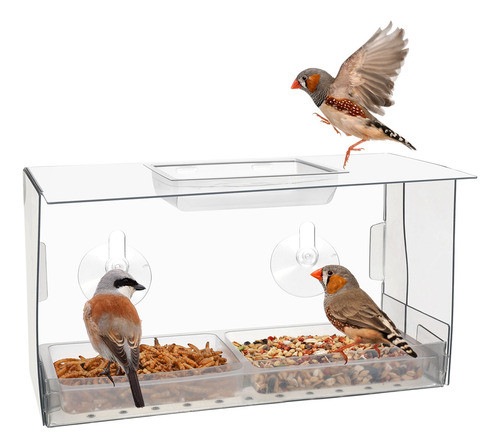 Alimentador De Pássaros Para Janelas. Os Pássaros Se Aliment 0