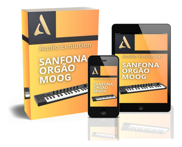 Pack De Sanfona + Moog + Orgão + Timbres Sf2 0