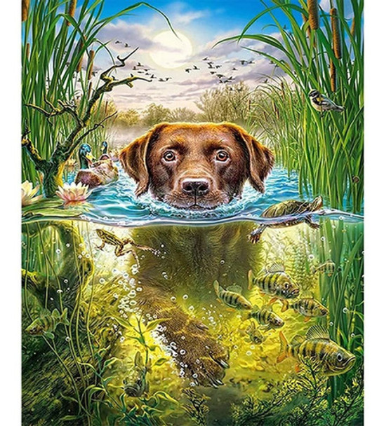 Pintura Por Diamantes Poster 5d - Perro Naturaleza 40x50 Cm 0