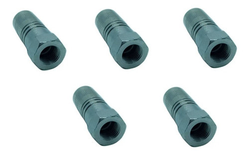 Bico De Engraxadeira Acoplador Hidráulico Schweers - 5 Pçs 0