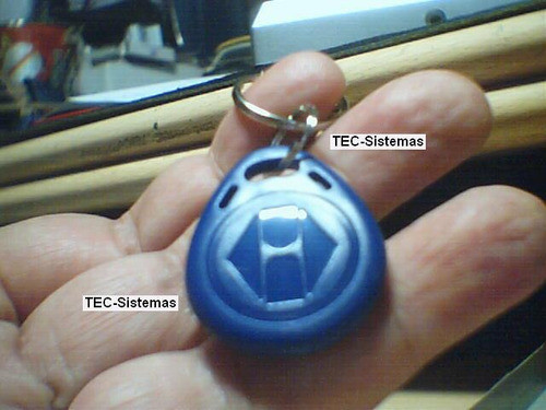 10 Llaveros Rfid Tags 125khz Indestructibles Y Numerados 0