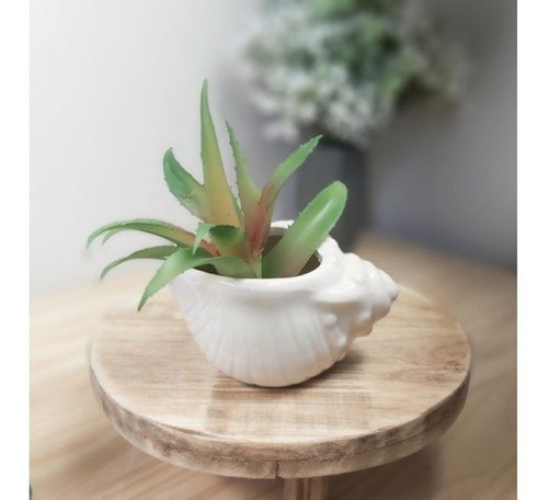 Molde De Silicone Vaso Búzio Concha 0