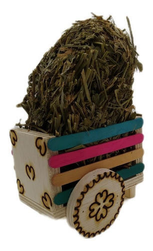 Brinquedo Para Hamster Porta Roedores Carrocinha 0