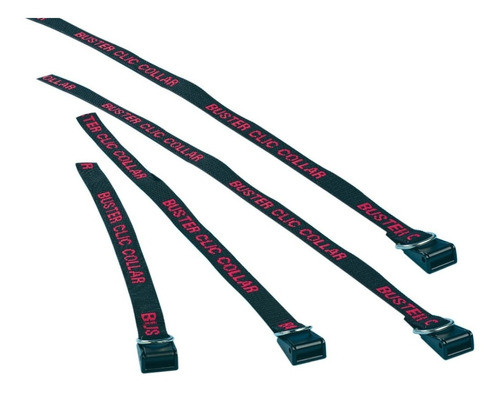 Correa Para Collar Isabelino Buster 0