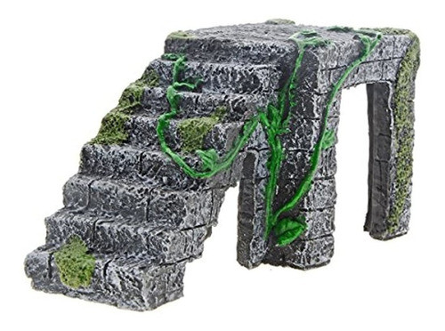 Plataforma De Tortuga Verde Gris Oscuro Escaleras De Platafo 0