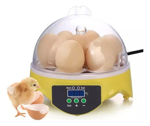 Incubadora Automática Barata De Ovos De Codorna Com Digital 0