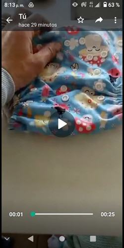 Pañal Reutilizable.usado En Buen Estado 0