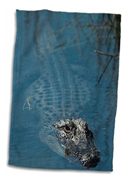 Toalla De Mano 3d Rose American Alligator-barrier Islands-ge 0