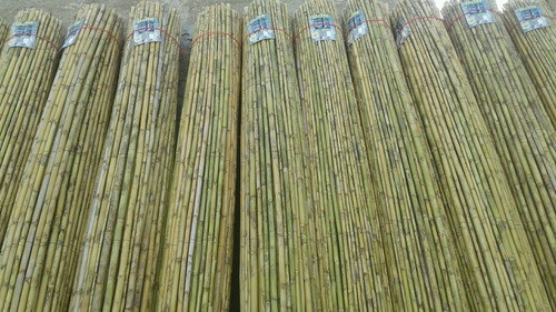 Esteras Media Caña. 2x5m Asta Agotar Estock 0