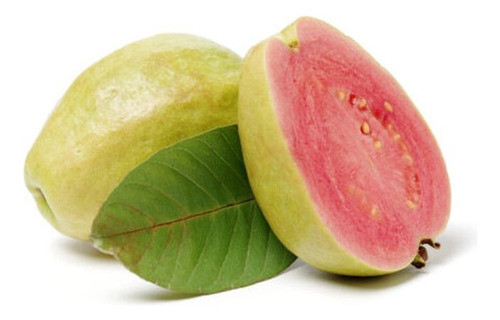 Guayabo Brasilero (amarillo) 0