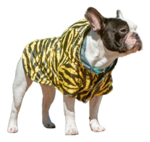 Pilotos De Mascotas, Extra Grandes 0