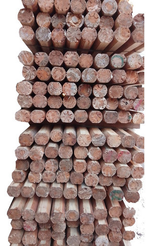 Meolos De Eucalyptus  2,60 Mts 0