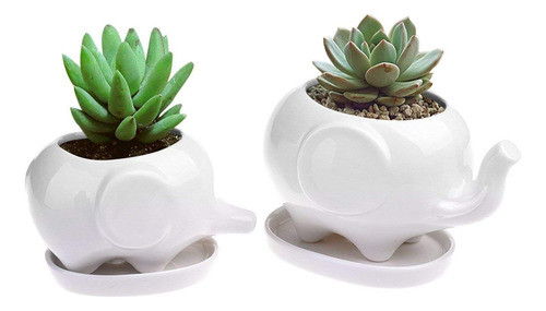 Gift Pro Elephant Plant Window Cajas Con Bandeja Set De 2 Cu 0