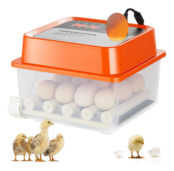Incubadora De Ovos Vevor 12 Eggs, Torneiro Automático De 360 0