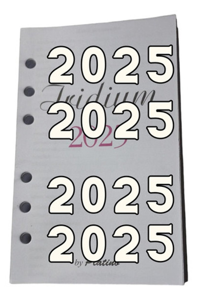 Respuesto De Agenda 2021 Platino Iridium Página X Día 0