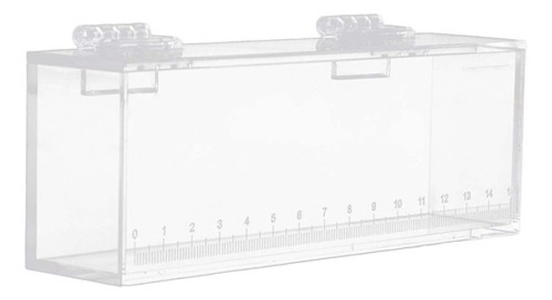 Caixa De Observação De Visualização De Peixes Do S 0 Caixa De Observação De Visualização De Peixes Do S 0