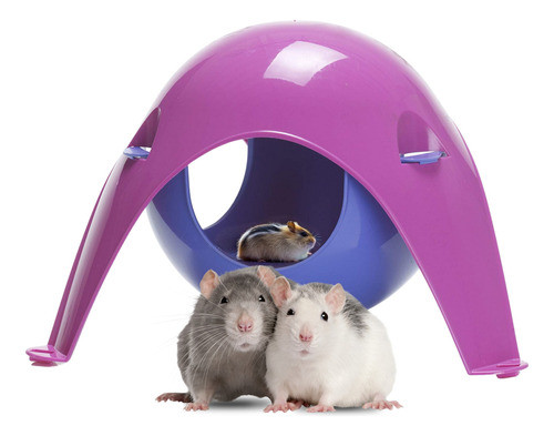 Refugio Casa Juegos Ratas Hamster Savic  Alimento Xl 0